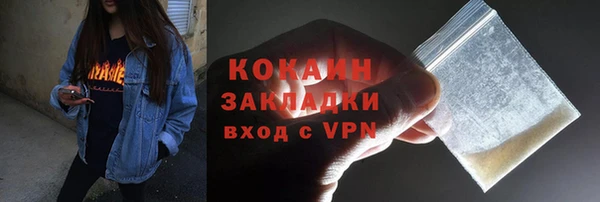 мет Алексин