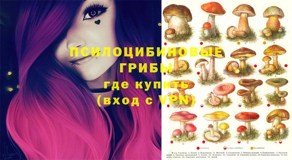 шишки Алексеевка
