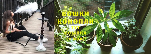 шишки Алексеевка
