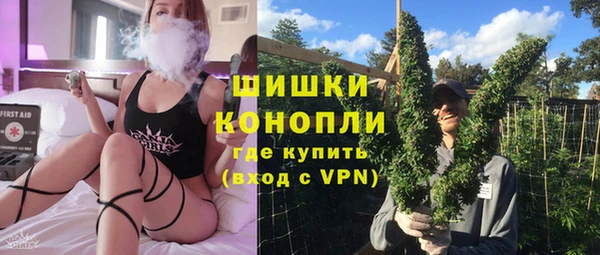 шишки Алексеевка