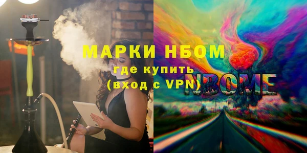 мет Алексин