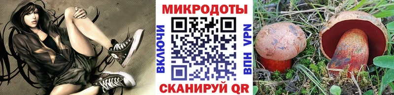 Псилоцибиновые грибы GOLDEN TEACHER  дарнет шоп  сайты даркнета наркотические препараты  Чистополь 